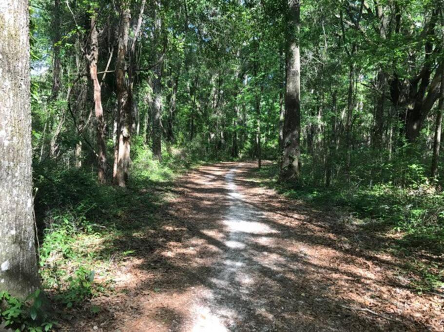 Town & Country Hideaway - 1Br/1Ba, 20 Min Famu/Fsu Apartment Tallahassee Exterior photo